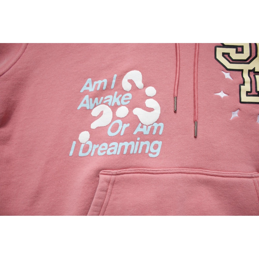 Sugarhill Paranoid Hoodie Salmon Pink Printed Graphics Pullover Men's 2XL - Picture 4 of 15